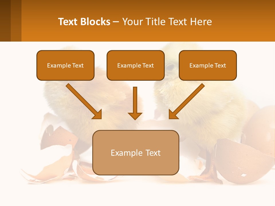A Couple Of Chickens Standing Next To An Egg PowerPoint Template