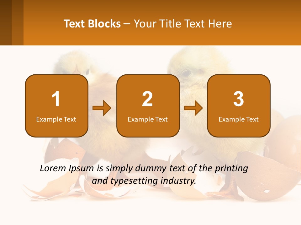 A Couple Of Chickens Standing Next To An Egg PowerPoint Template