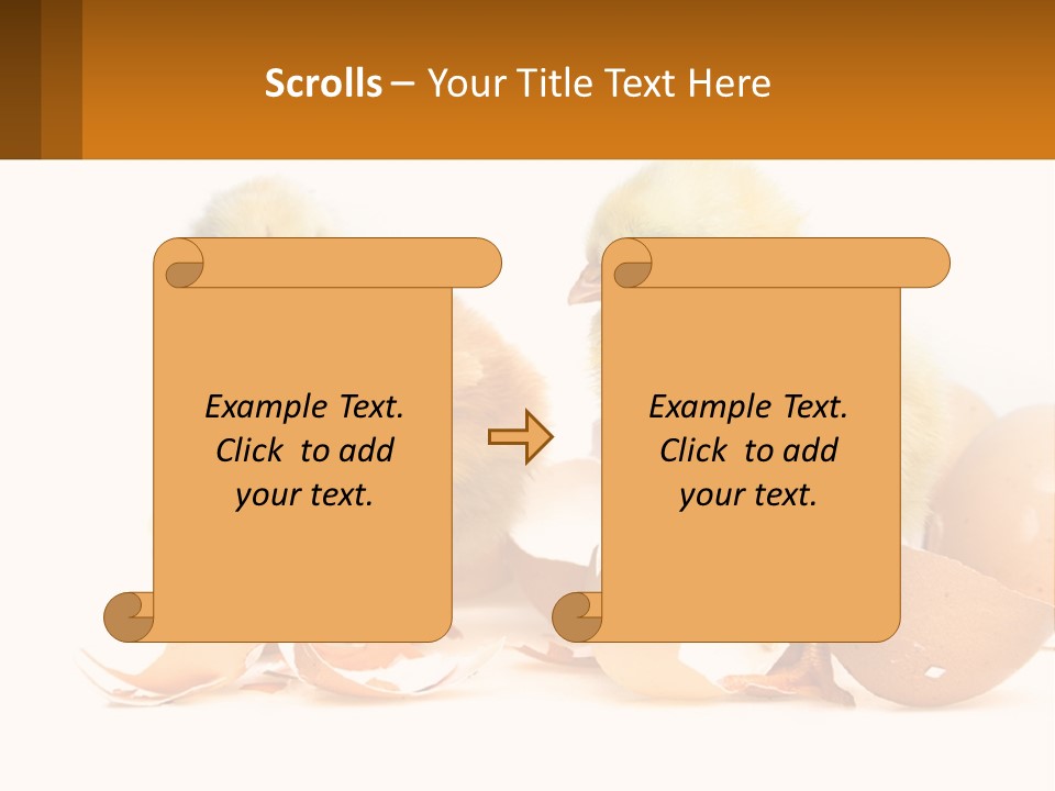 A Couple Of Chickens Standing Next To An Egg PowerPoint Template