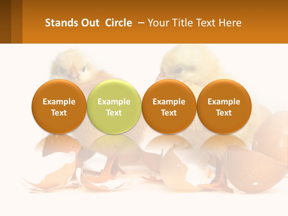 A Couple Of Chickens Standing Next To An Egg PowerPoint Template
