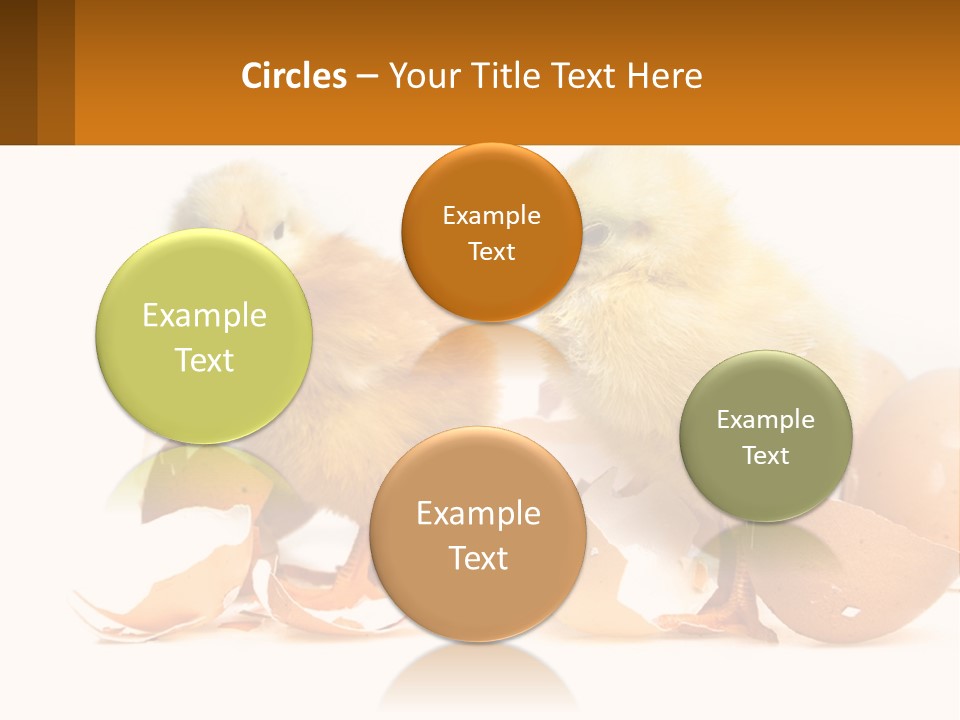 A Couple Of Chickens Standing Next To An Egg PowerPoint Template