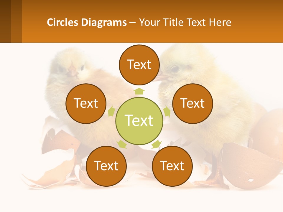 A Couple Of Chickens Standing Next To An Egg PowerPoint Template