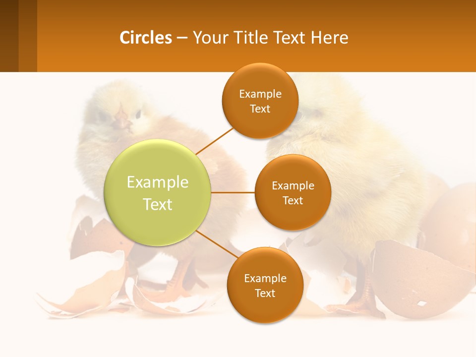 A Couple Of Chickens Standing Next To An Egg PowerPoint Template