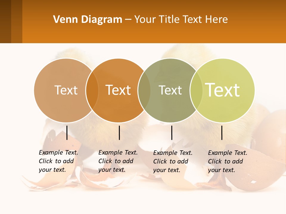 A Couple Of Chickens Standing Next To An Egg PowerPoint Template