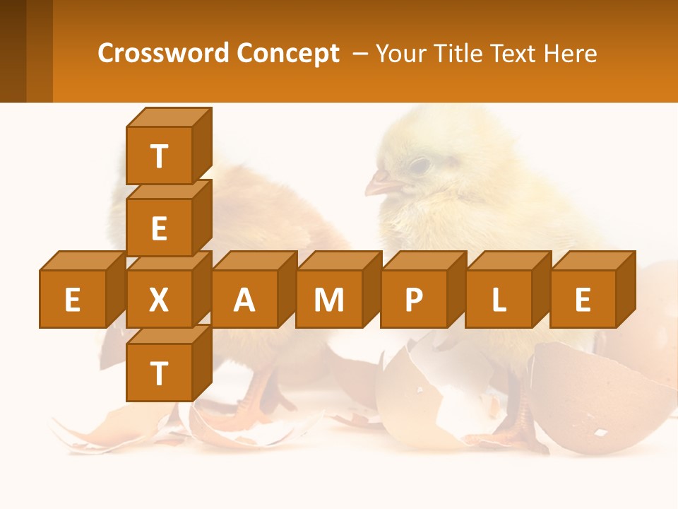 A Couple Of Chickens Standing Next To An Egg PowerPoint Template