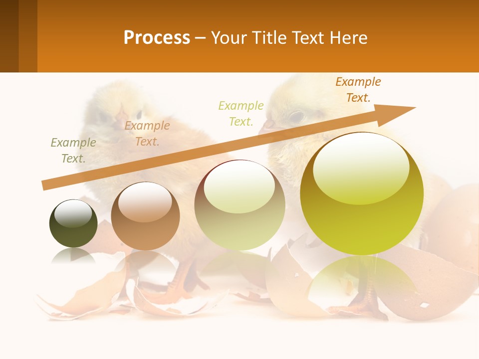 A Couple Of Chickens Standing Next To An Egg PowerPoint Template