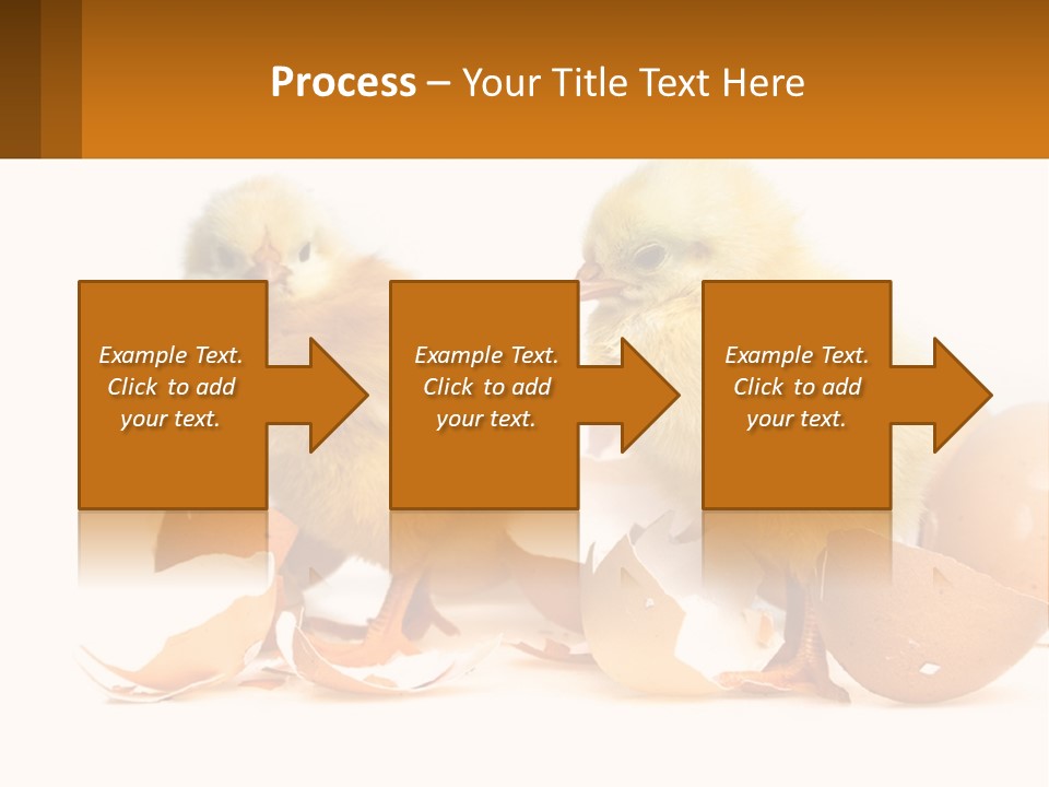 A Couple Of Chickens Standing Next To An Egg PowerPoint Template