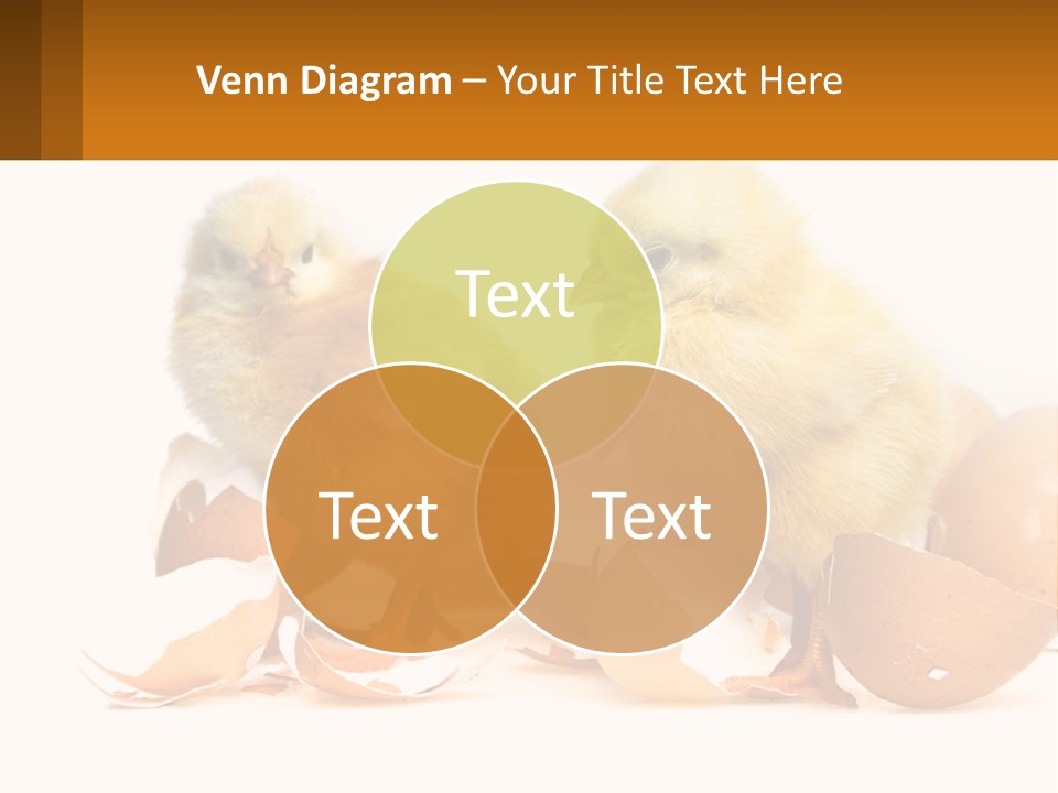 A Couple Of Chickens Standing Next To An Egg PowerPoint Template