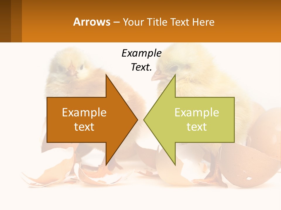 A Couple Of Chickens Standing Next To An Egg PowerPoint Template