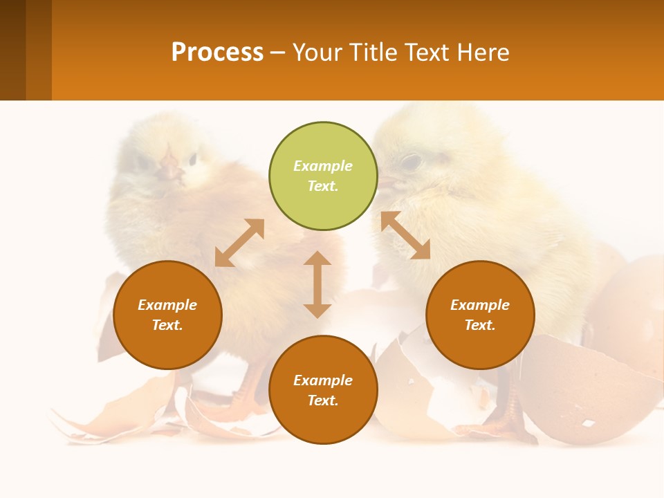 A Couple Of Chickens Standing Next To An Egg PowerPoint Template
