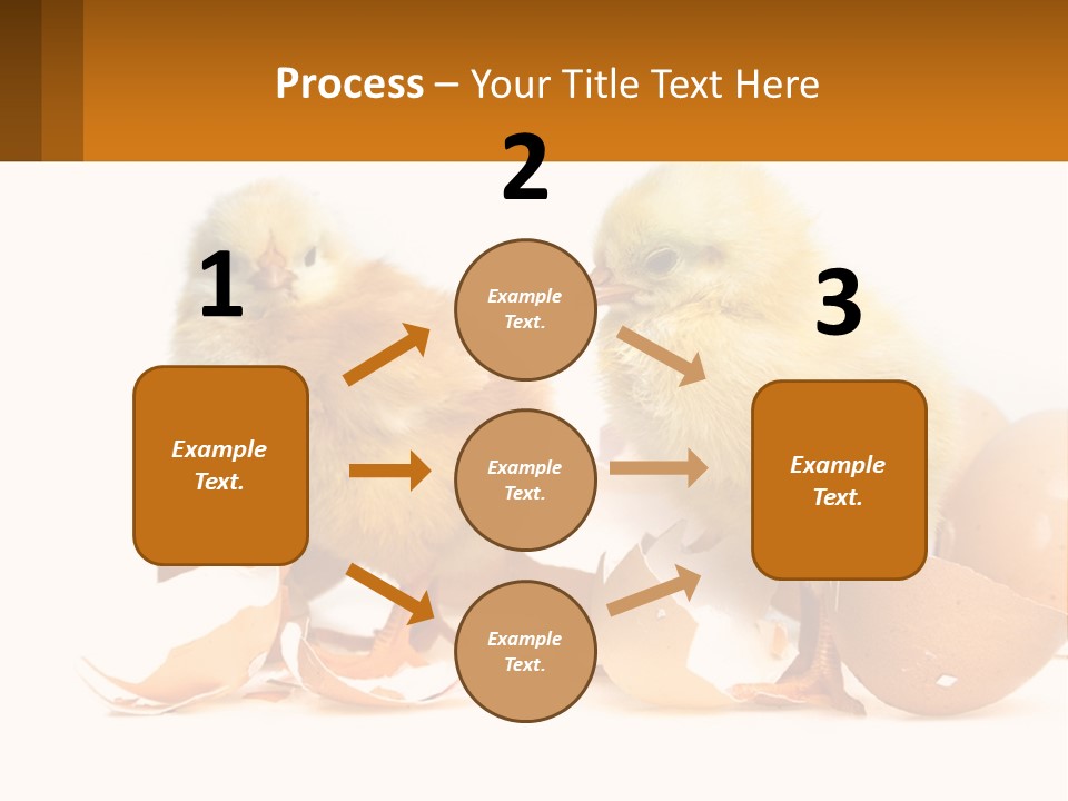 A Couple Of Chickens Standing Next To An Egg PowerPoint Template