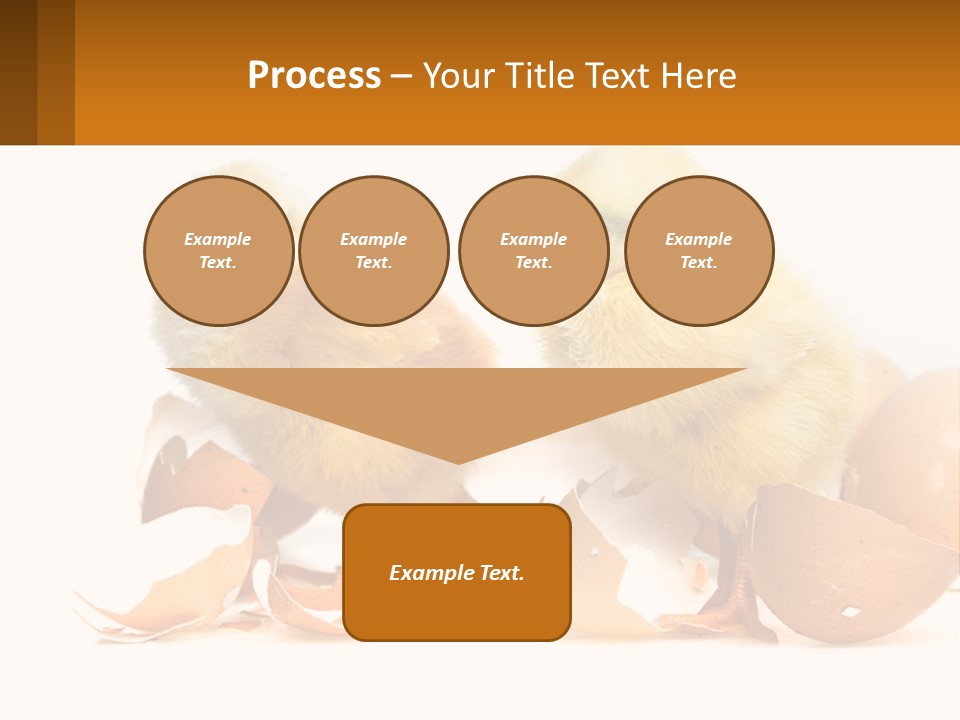 A Couple Of Chickens Standing Next To An Egg PowerPoint Template