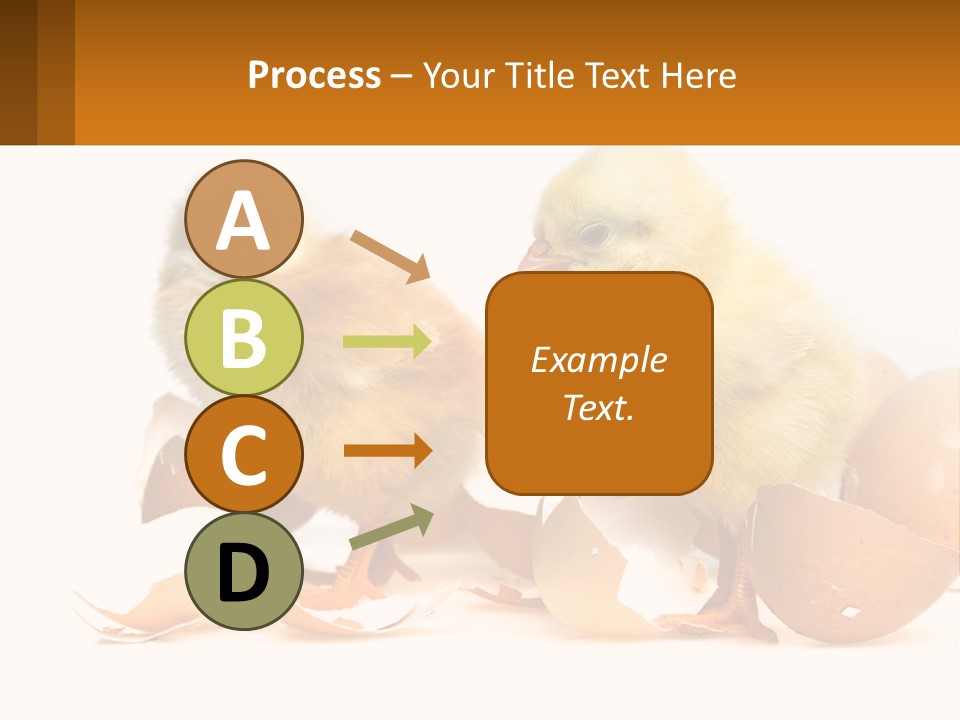 A Couple Of Chickens Standing Next To An Egg PowerPoint Template