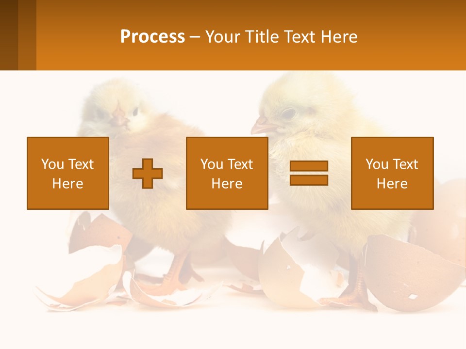 A Couple Of Chickens Standing Next To An Egg PowerPoint Template