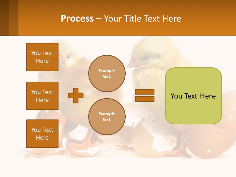 A Couple Of Chickens Standing Next To An Egg PowerPoint Template