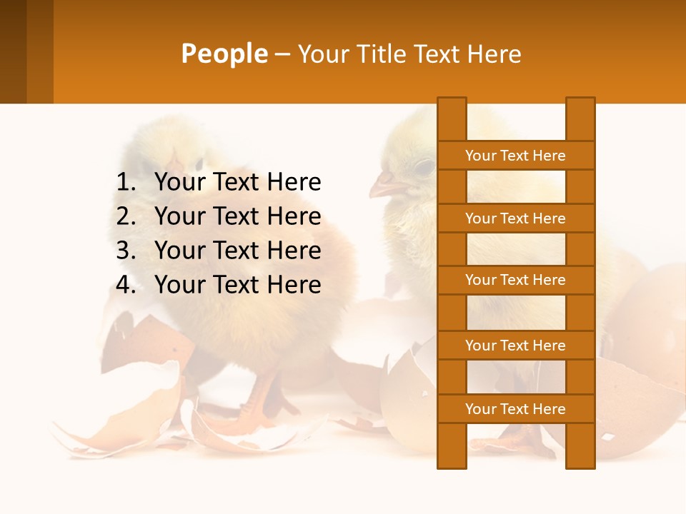 A Couple Of Chickens Standing Next To An Egg PowerPoint Template
