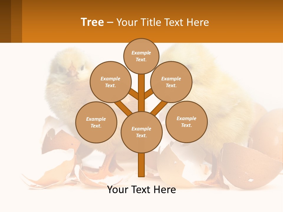 A Couple Of Chickens Standing Next To An Egg PowerPoint Template