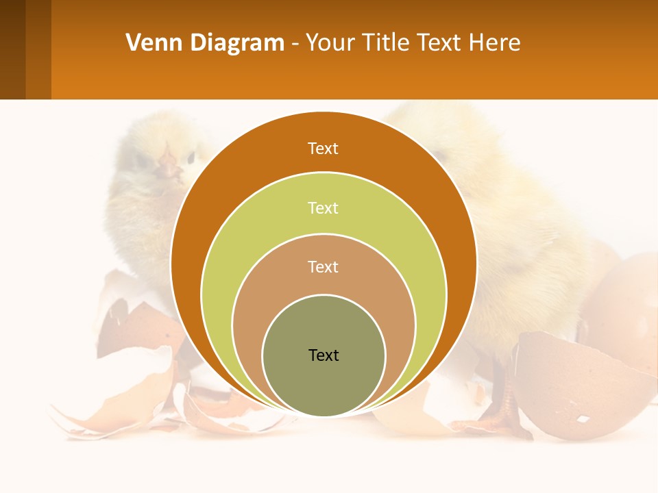 A Couple Of Chickens Standing Next To An Egg PowerPoint Template