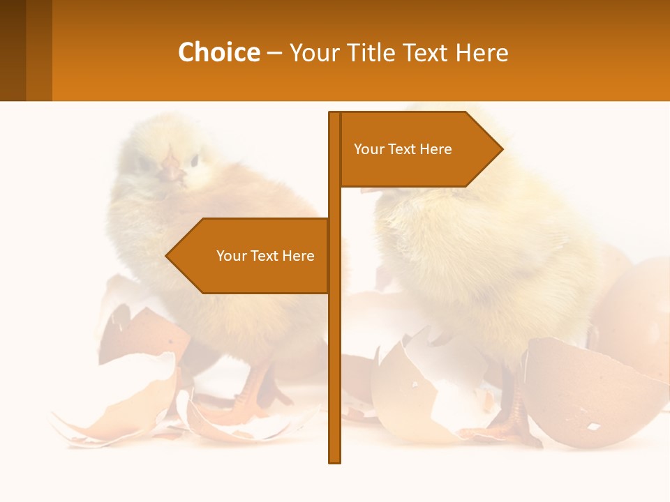 A Couple Of Chickens Standing Next To An Egg PowerPoint Template
