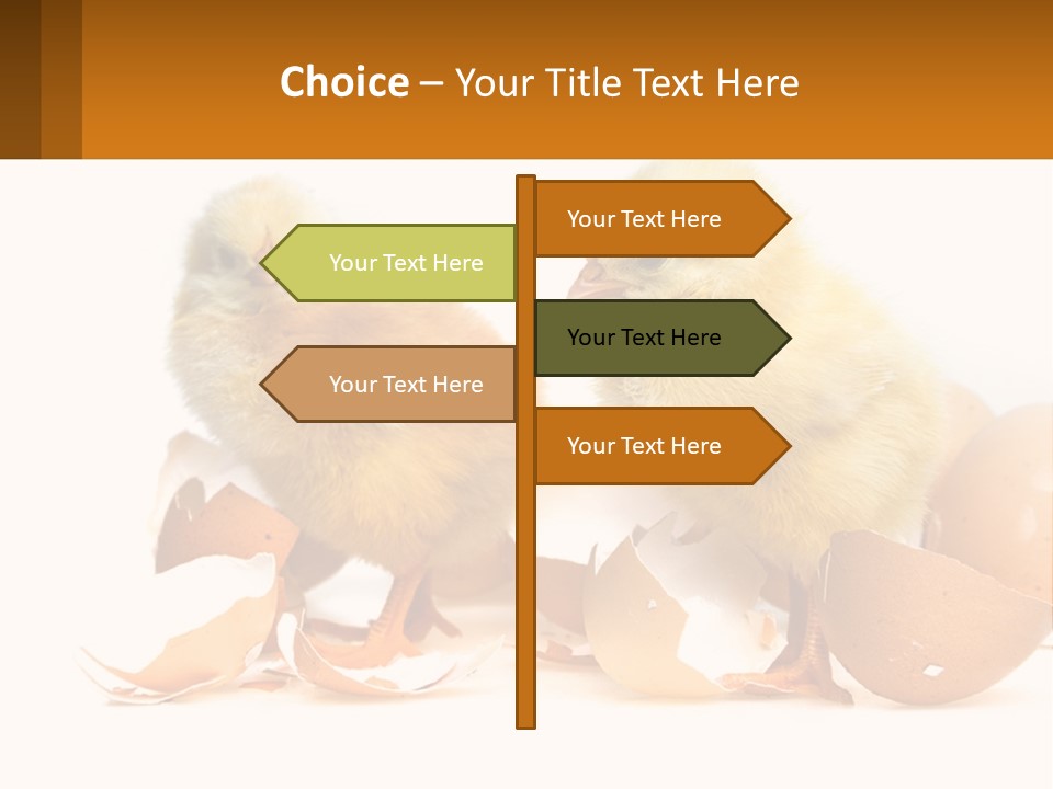 A Couple Of Chickens Standing Next To An Egg PowerPoint Template