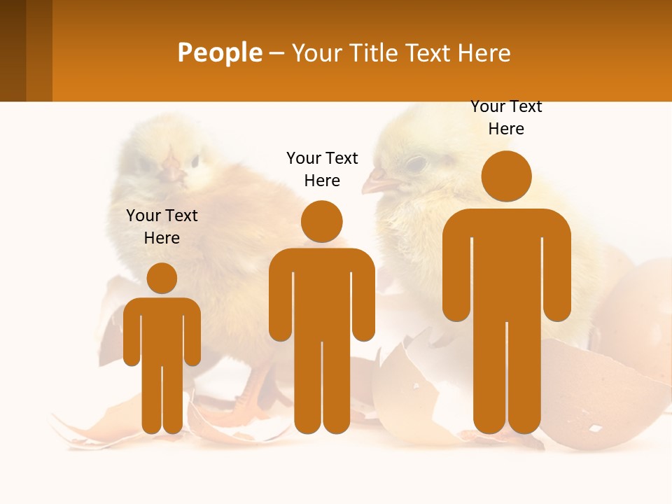 A Couple Of Chickens Standing Next To An Egg PowerPoint Template