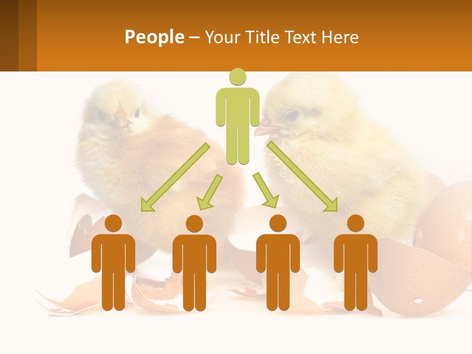 A Couple Of Chickens Standing Next To An Egg PowerPoint Template