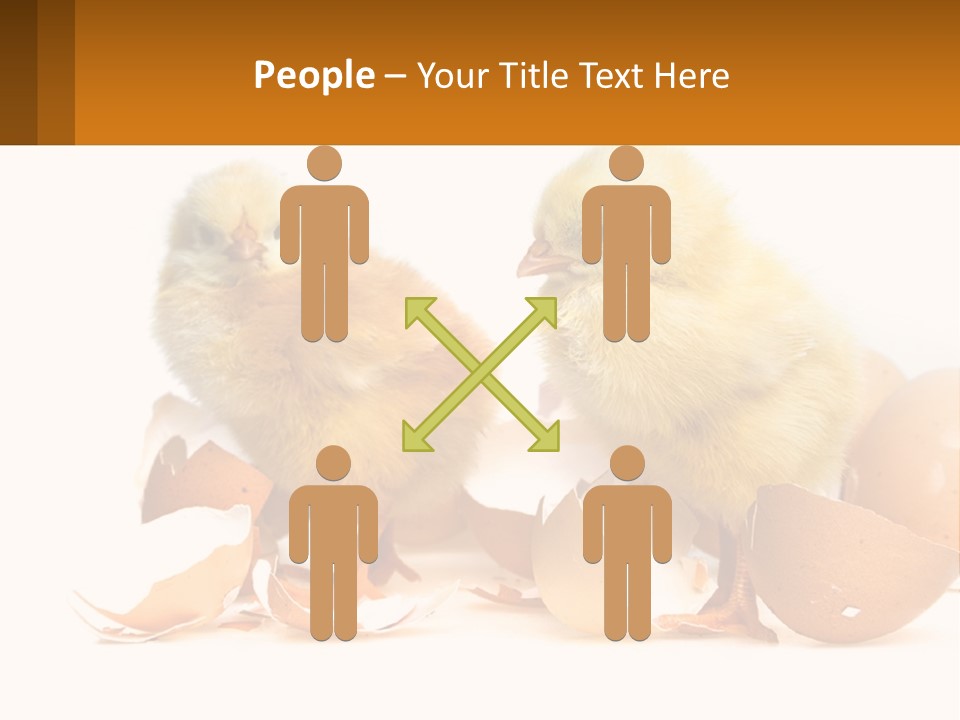 A Couple Of Chickens Standing Next To An Egg PowerPoint Template