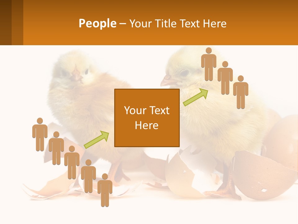 A Couple Of Chickens Standing Next To An Egg PowerPoint Template