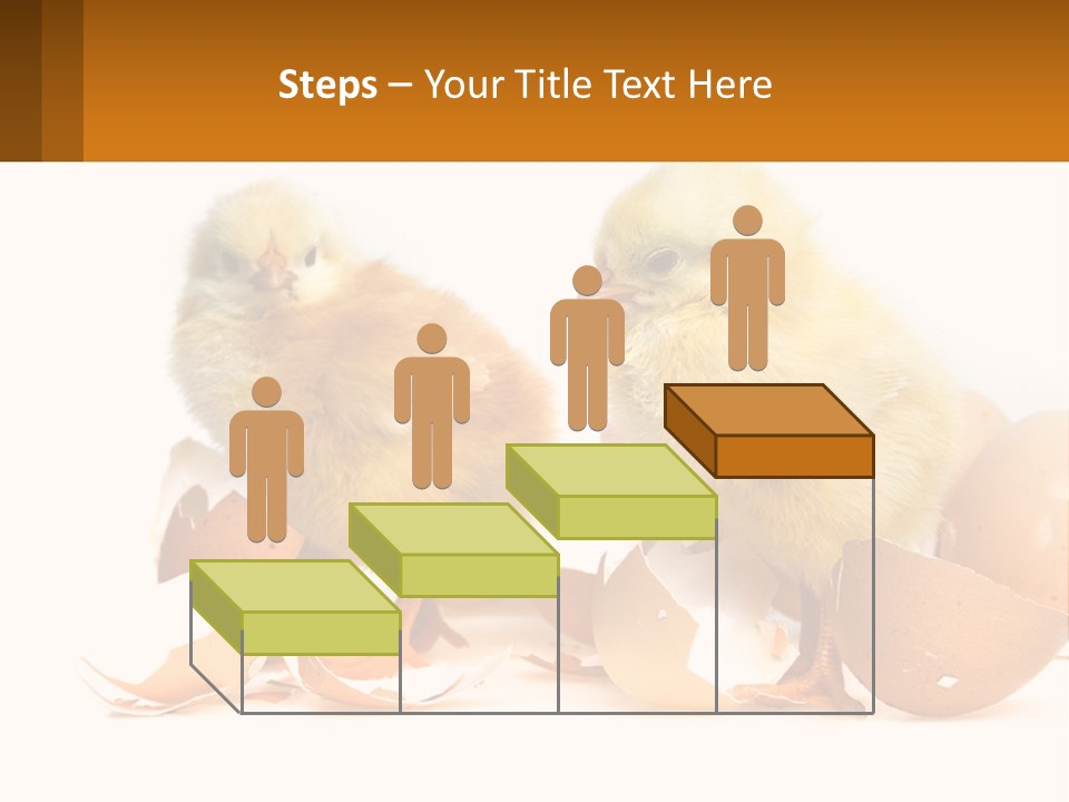 A Couple Of Chickens Standing Next To An Egg PowerPoint Template