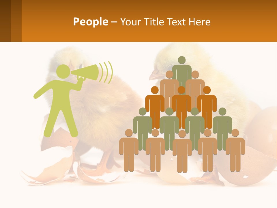 A Couple Of Chickens Standing Next To An Egg PowerPoint Template