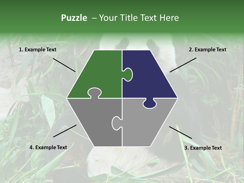 A Panda Eating Bamboo In A Zoo Enclosure PowerPoint Template