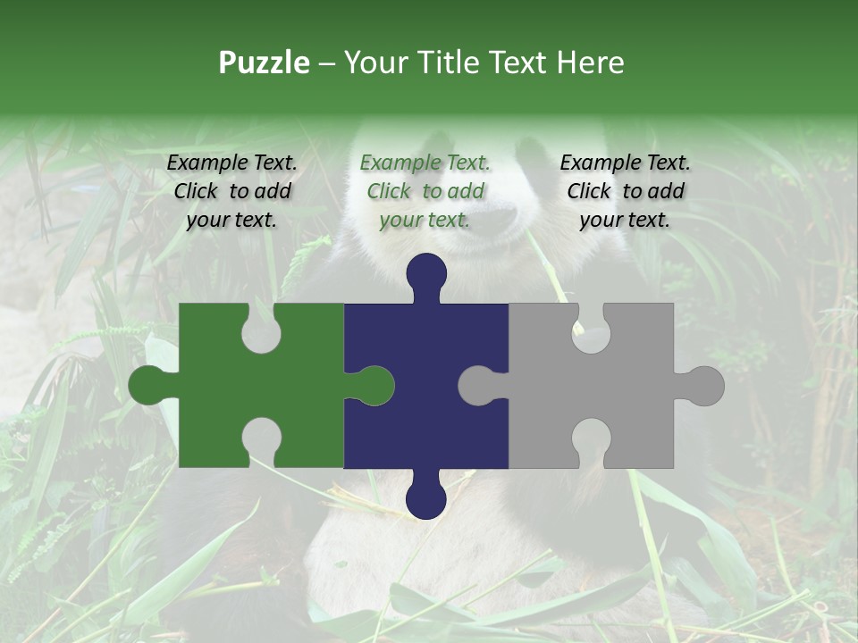 A Panda Eating Bamboo In A Zoo Enclosure PowerPoint Template