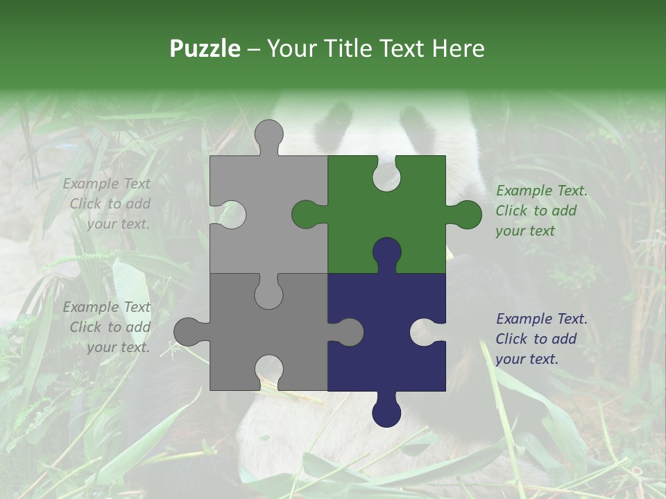 A Panda Eating Bamboo In A Zoo Enclosure PowerPoint Template