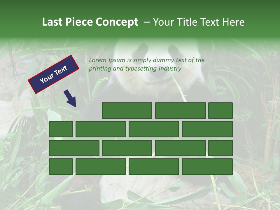 A Panda Eating Bamboo In A Zoo Enclosure PowerPoint Template