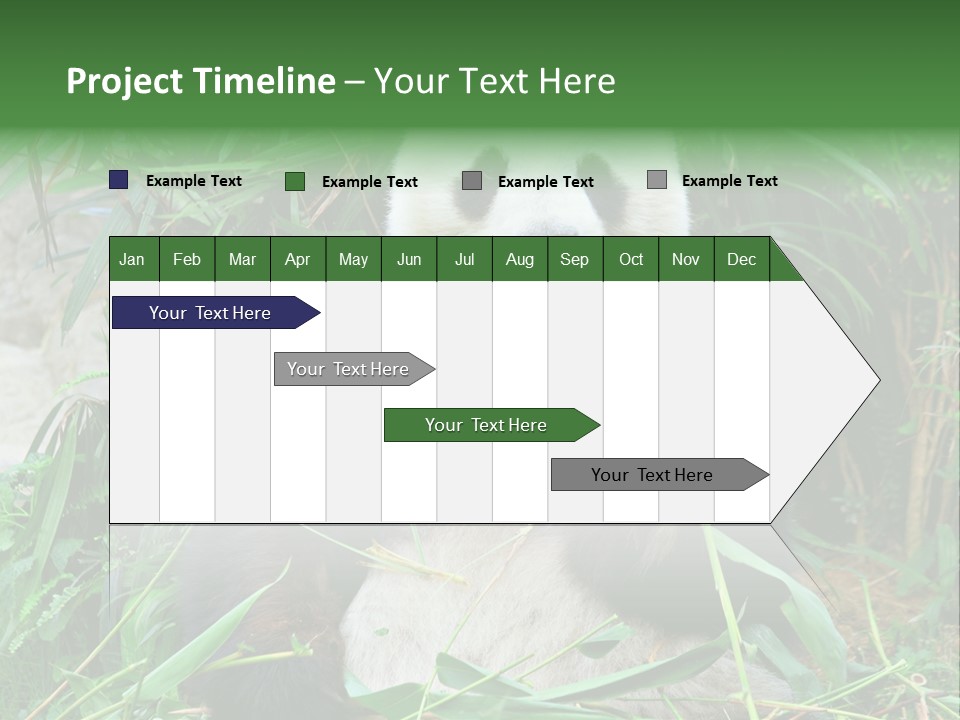 A Panda Eating Bamboo In A Zoo Enclosure PowerPoint Template