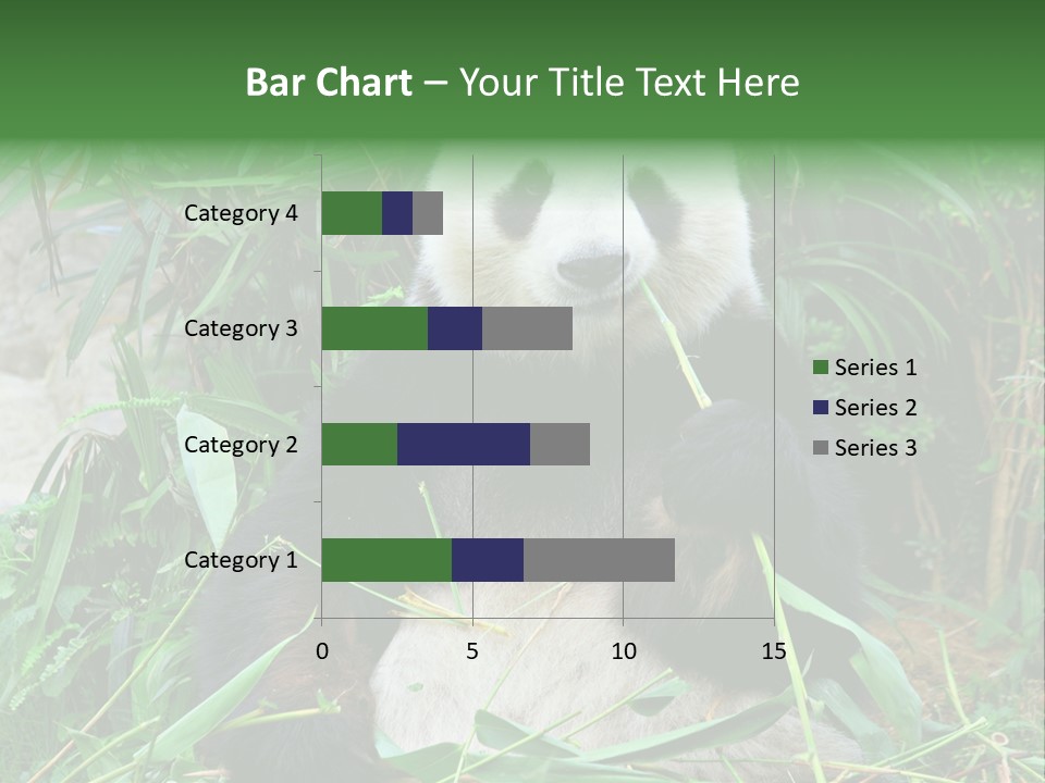 A Panda Eating Bamboo In A Zoo Enclosure PowerPoint Template