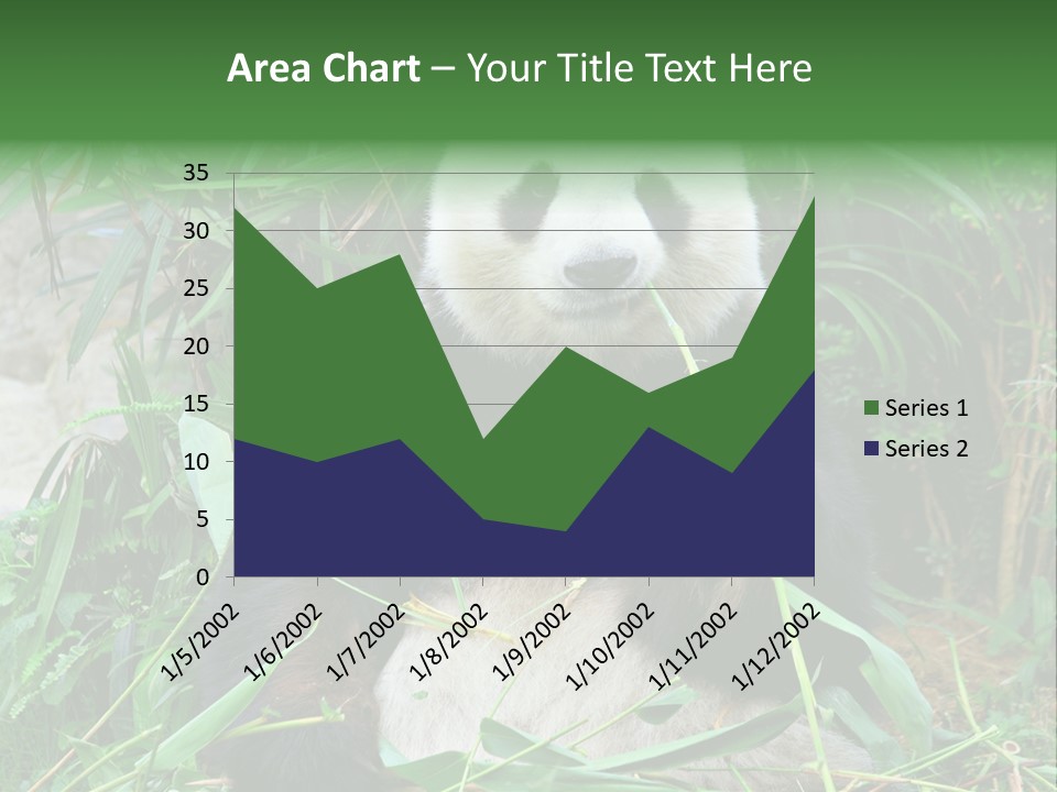 A Panda Eating Bamboo In A Zoo Enclosure PowerPoint Template