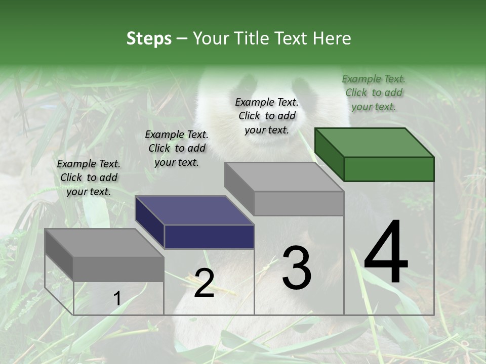 A Panda Eating Bamboo In A Zoo Enclosure PowerPoint Template