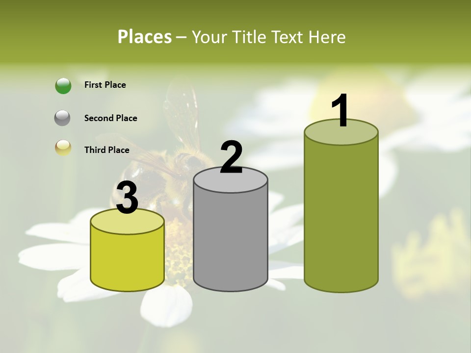 A Bee On A Flower Powerpoint Template PowerPoint Template