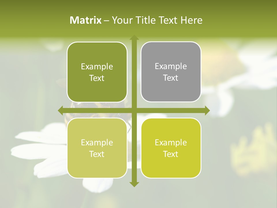A Bee On A Flower Powerpoint Template PowerPoint Template