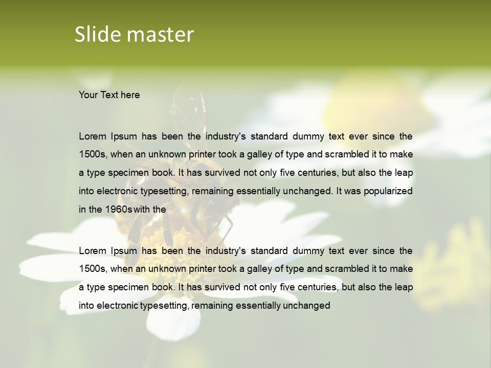 A Bee On A Flower Powerpoint Template PowerPoint Template