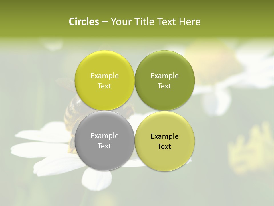 A Bee On A Flower Powerpoint Template PowerPoint Template