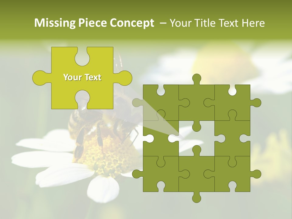 A Bee On A Flower Powerpoint Template PowerPoint Template