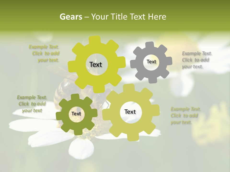 A Bee On A Flower Powerpoint Template PowerPoint Template