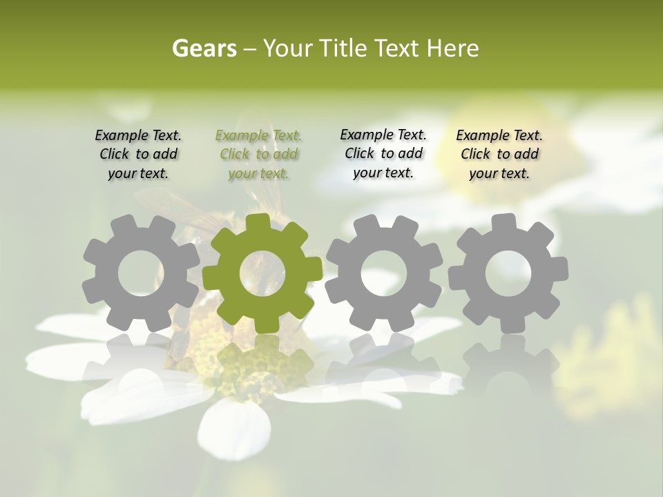A Bee On A Flower Powerpoint Template PowerPoint Template
