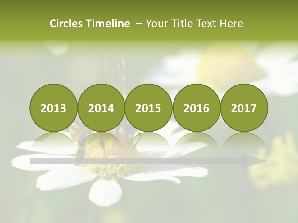 A Bee On A Flower Powerpoint Template PowerPoint Template
