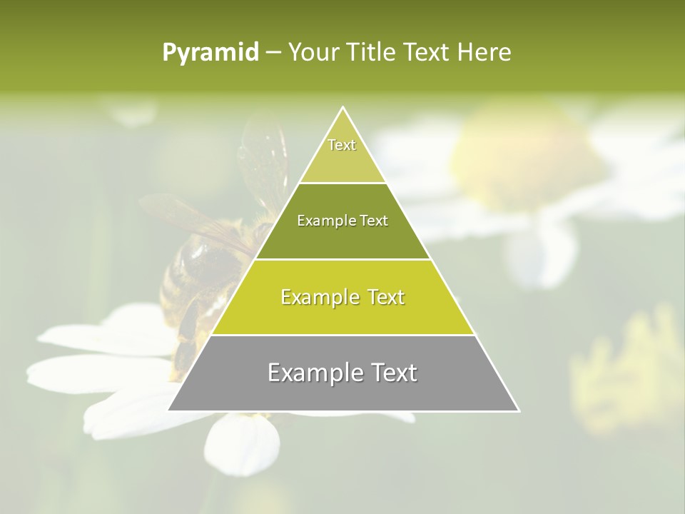 A Bee On A Flower Powerpoint Template PowerPoint Template