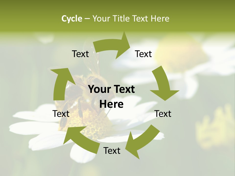 A Bee On A Flower Powerpoint Template PowerPoint Template