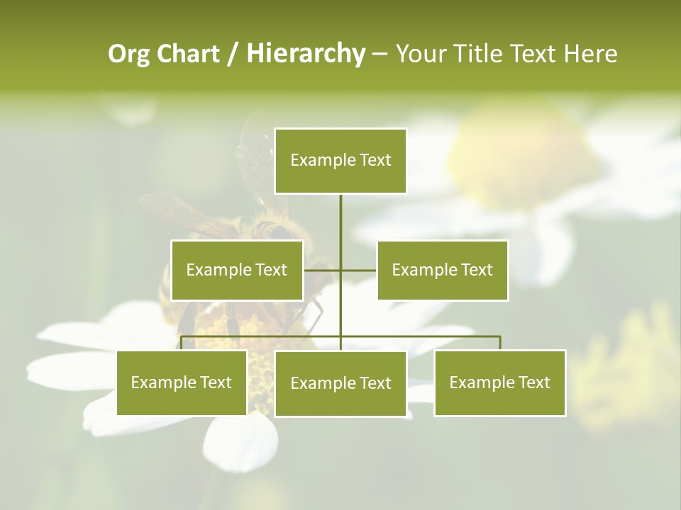 A Bee On A Flower Powerpoint Template PowerPoint Template