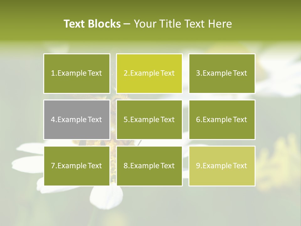 A Bee On A Flower Powerpoint Template PowerPoint Template